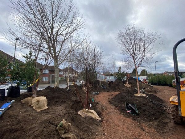 First Hillier Trees in Place at new Maggie’s Centre Southampton