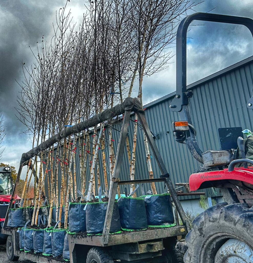 Broadmead Hillier Tree Nursery Container Trees Being Loaded