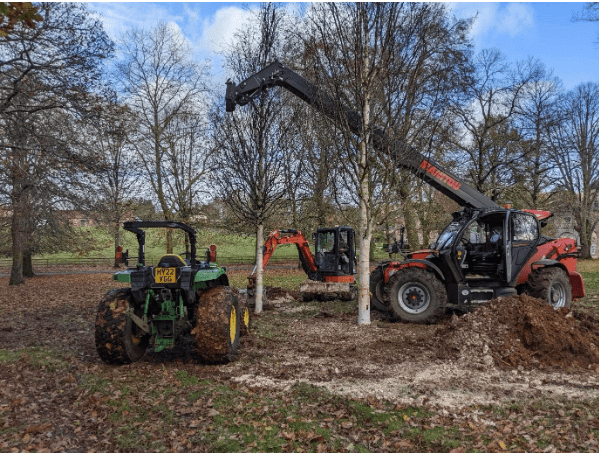 Mature trees being planted in a private country estate